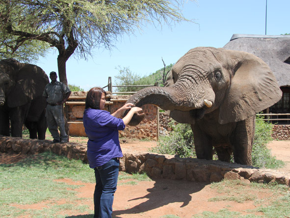 Sharlaine Assur - elephant feeding time in the Pilanesberg!